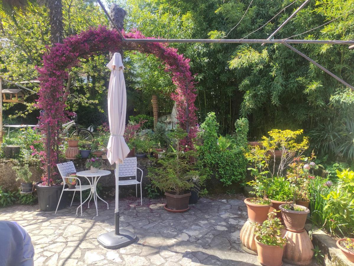 Apartment Valenta Пореч Экстерьер фото